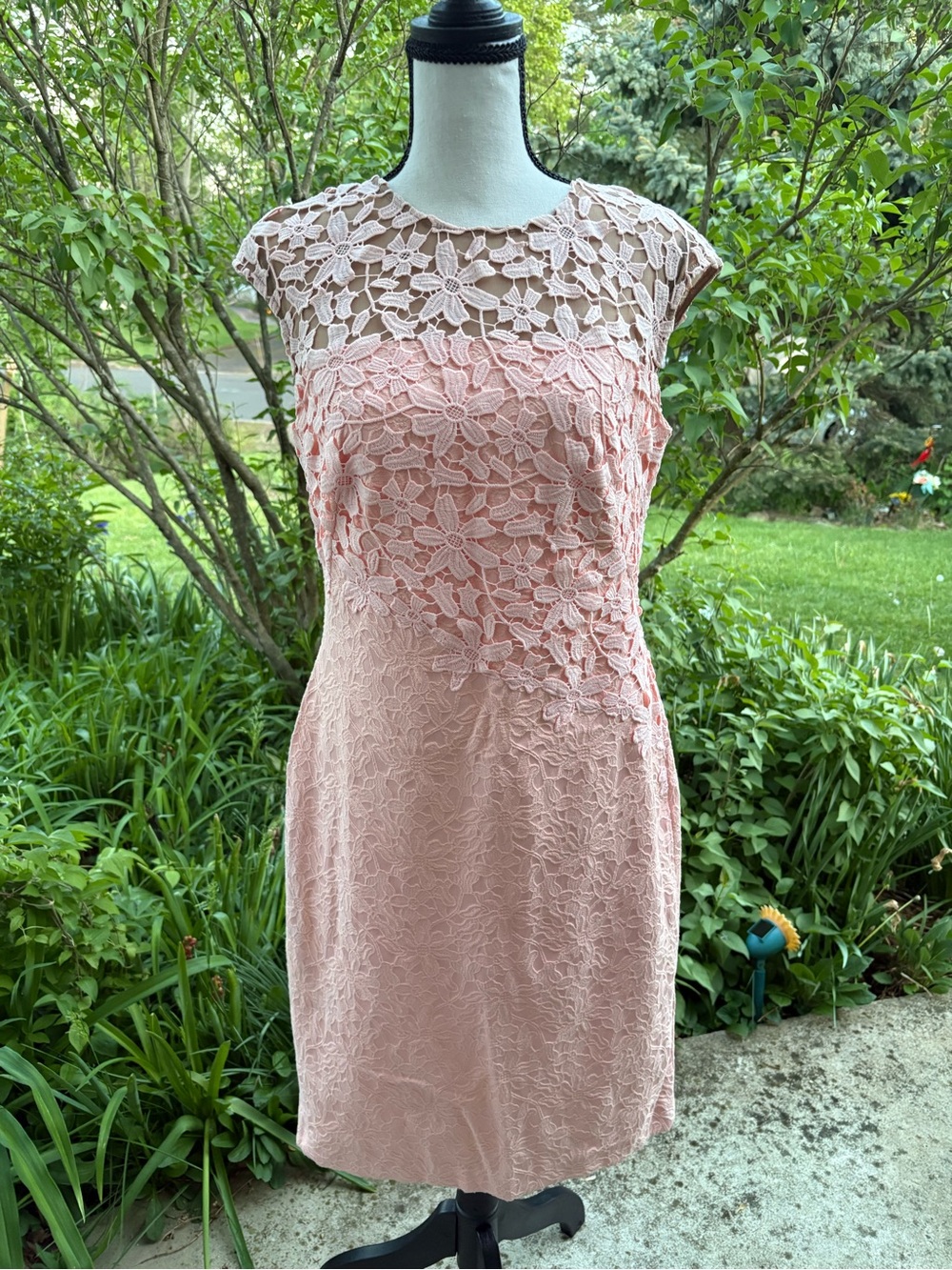 Size 8 Ralph Lauren Blush Pink Floral Lace Midi Dress